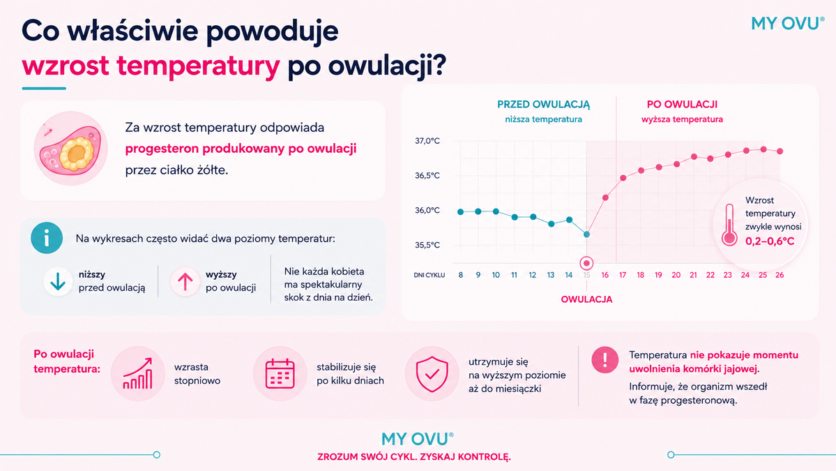 Co powoduje wzrost temperatury po owulacji?