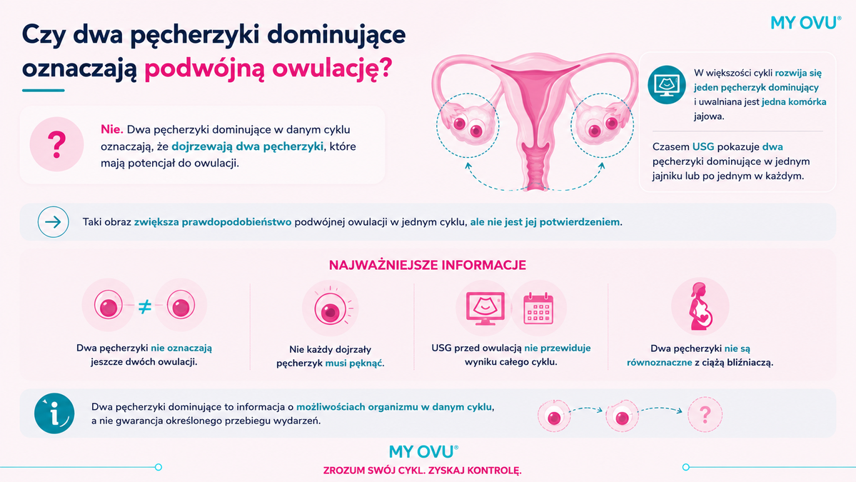 Czy dwa pęcherzyki dominujące oznaczają podwójną owulację?