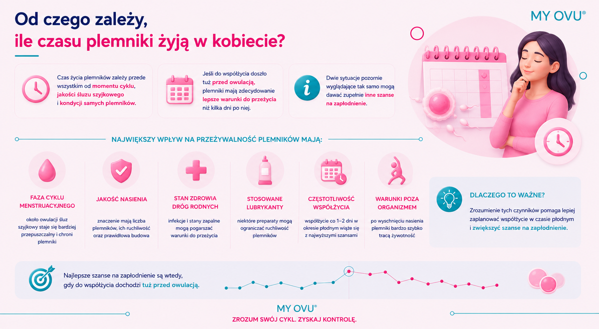 Ile czasu plemniki żyją w kobiecie?